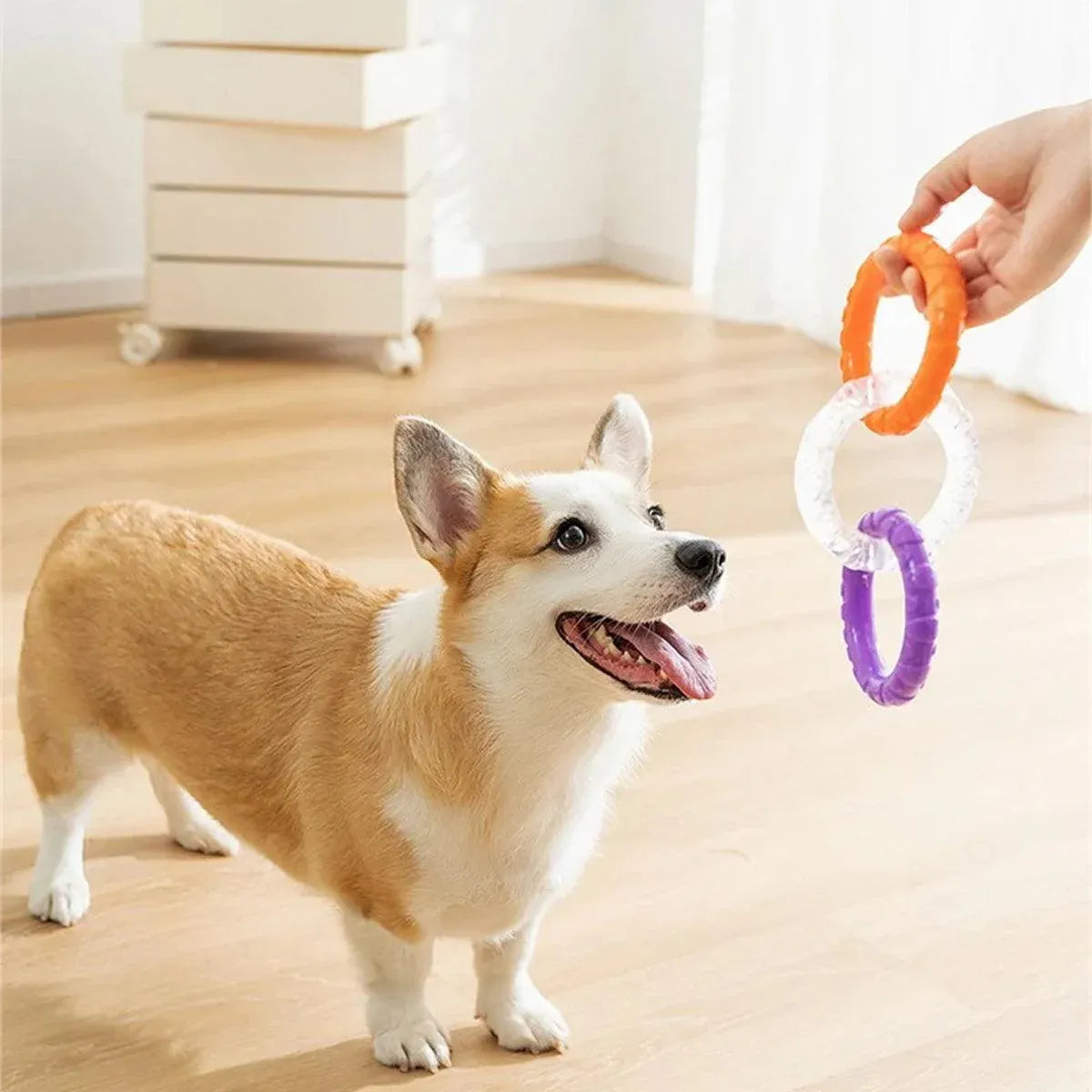 Interactive Dog Toys TRP Rubber Ring Teething Pet Rally Ring Chew Play Fetch - Blue-Purple V528-PET-TOY-BLUE-PURPLE-365063