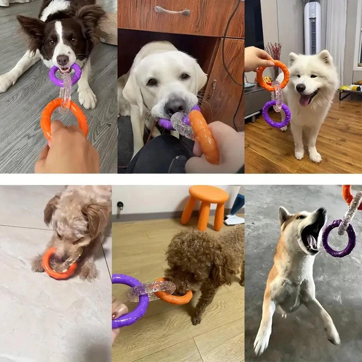 Interactive Dog Toys TRP Rubber Ring Teething Pet Rally Ring Chew Play Fetch - Blue-Purple V528-PET-TOY-BLUE-PURPLE-365063