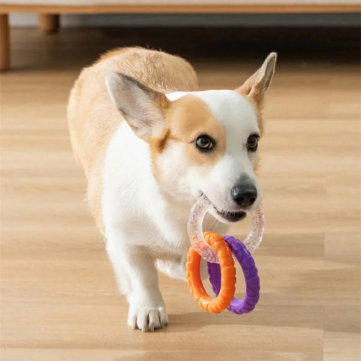 Interactive Dog Toys TRP Rubber Ring Teething Pet Rally Ring Chew Play Fetch - Blue-Purple V528-PET-TOY-BLUE-PURPLE-365063