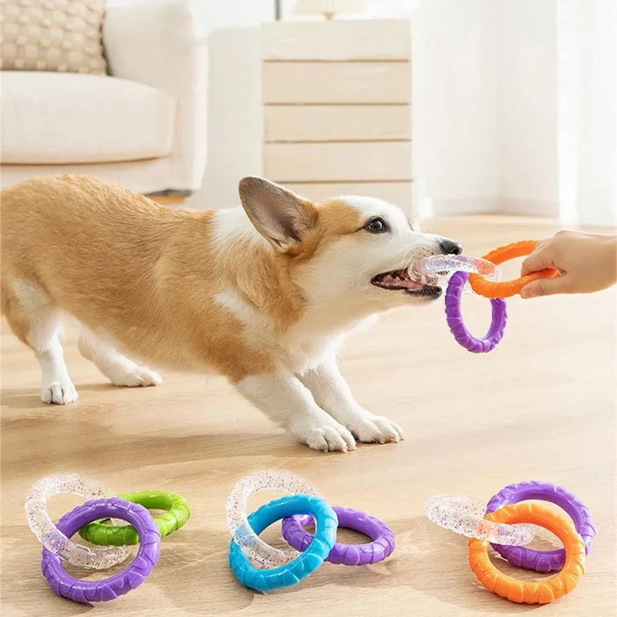 Interactive Dog Toys TRP Rubber Ring Teething Pet Rally Ring Chew Play Fetch - Blue-Purple V528-PET-TOY-BLUE-PURPLE-365063