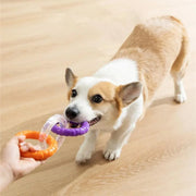 Interactive Dog Toys TRP Rubber Ring Teething Pet Rally Ring Chew Play Fetch - Blue-Purple V528-PET-TOY-BLUE-PURPLE-365063