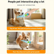 Durable Pet Teething Resistant Tennis Ball Wine Bottle Chew Toy for Dogs Play - Blue-L V528-PET-TOY-BOTTLE-BLUE-L-495331
