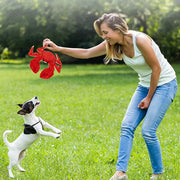 Pet Dog Toys Interactive Plush Dog Toys Durable for Puppy Small Dogs Bite Play V528-PET-TOY-CRAB-803468
