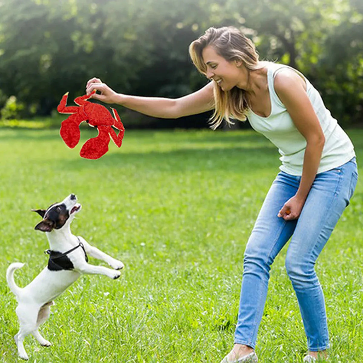Pet Dog Toys Interactive Plush Dog Toys Durable for Puppy Small Dogs Bite Play V528-PET-TOY-CRAB-803468