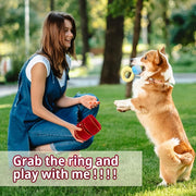 Plush Pet Toy Interactive Ring Box Chew Toy for Dogs and Cats Soft Squeaky Play V528-PET-TOY-PROPOSAL-RING-515345