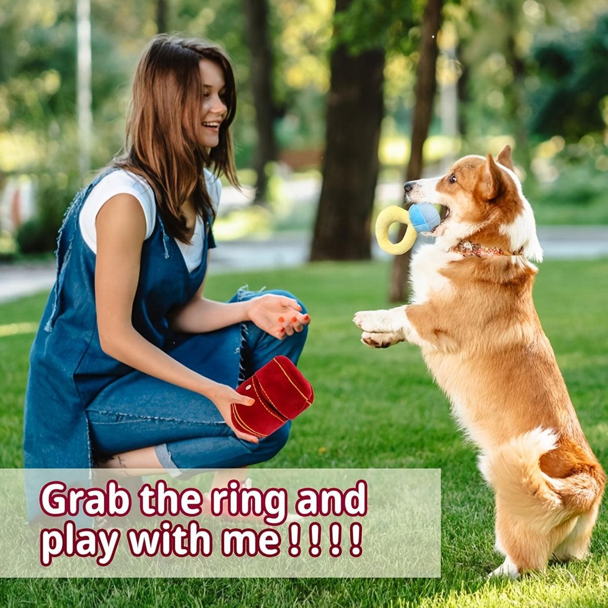 Plush Pet Toy Interactive Ring Box Chew Toy for Dogs and Cats Soft Squeaky Play V528-PET-TOY-PROPOSAL-RING-515345