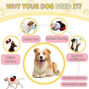 Plush Pet Toy Interactive Ring Box Chew Toy for Dogs and Cats Soft Squeaky Play V528-PET-TOY-PROPOSAL-RING-515345