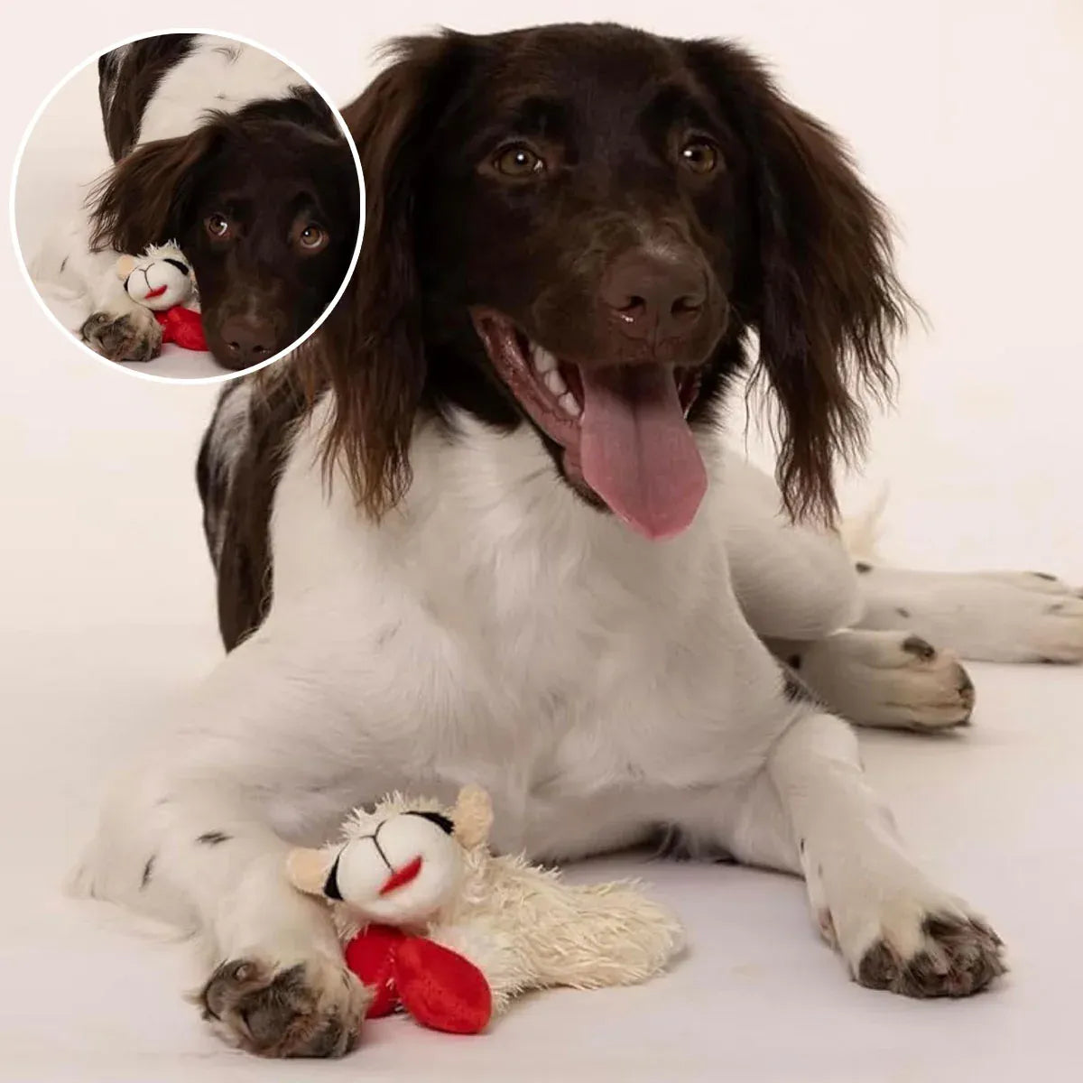 Lamb Shape Dog Toy Soft Plush Chew Toy for Puppy Small Dogs Squeaky Play Pet V528-PET-TOY-SHEEP-456454