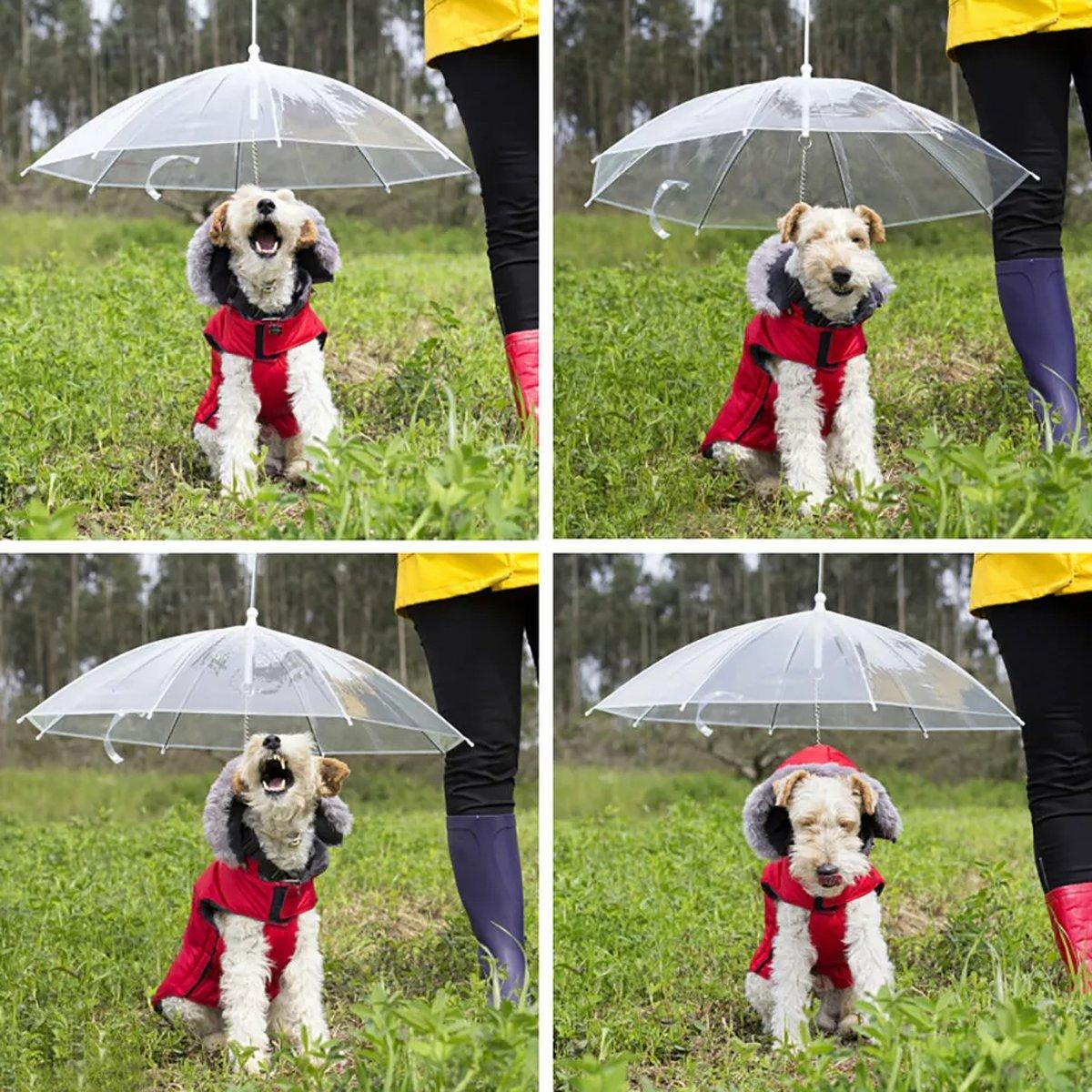 Pet Dog Transparent Umbrella 30 inch Diameter With Dog Leash For Rain Walking Outdoor V528-PET-UMBRELLA-485281