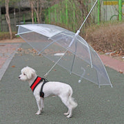 Pet Dog Transparent Umbrella 30 inch Diameter With Dog Leash For Rain Walking Outdoor V528-PET-UMBRELLA-485281