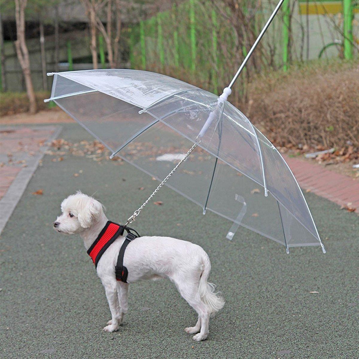 Pet Dog Transparent Umbrella 30 inch Diameter With Dog Leash For Rain Walking Outdoor V528-PET-UMBRELLA-485281