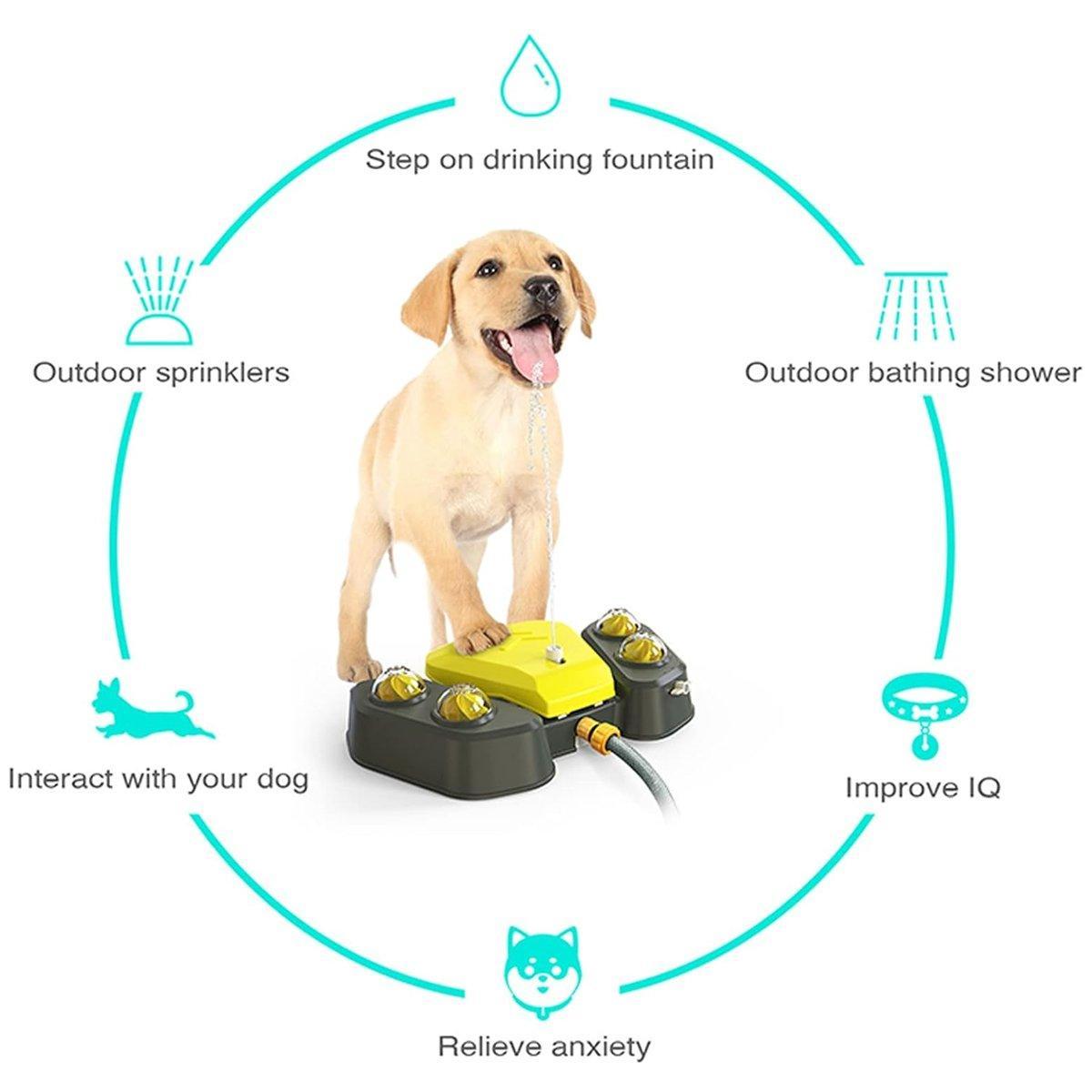 Automatic Water Feeder Dispenser with Bath Spray and Footstep Dog Toys for Pets - Blue V528-PET-WATER-FEEDER-BLUE-114859