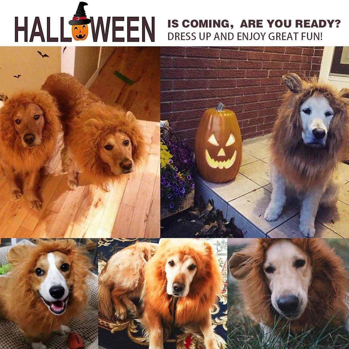 Lion Costume Mane Wig Large Dog Fancy Dress Up Party for Pet Halloween Clothes - Light Brown-S V528-PET-WIG-LION-LIGHT-BROWN-S-886599