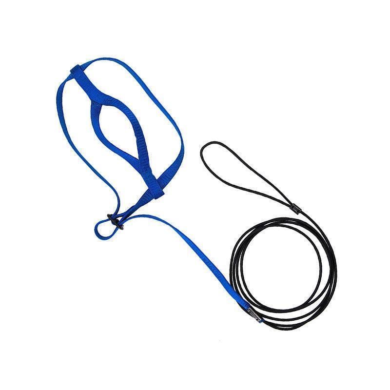 M Pet Parrot Bird Harness Lead Leash Flying Training Rope Cockatiel Outdoor - Blue V528-PETBIRDROPE-BLUE-M-27801