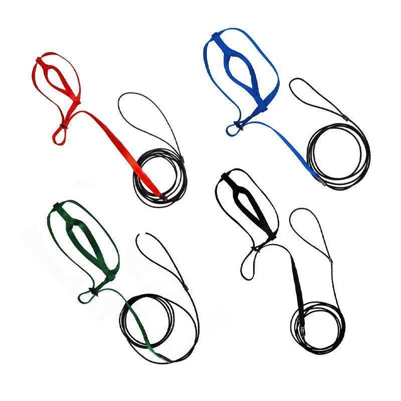 M Pet Parrot Bird Harness Lead Leash Flying Training Rope Cockatiel Outdoor - Blue V528-PETBIRDROPE-BLUE-M-27801