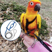 M Pet Parrot Bird Harness Lead Leash Flying Training Rope Cockatiel Outdoor - Blue V528-PETBIRDROPE-BLUE-M-27801