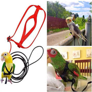 M Pet Parrot Bird Harness Lead Leash Flying Training Rope Cockatiel Outdoor - Blue V528-PETBIRDROPE-BLUE-M-27801