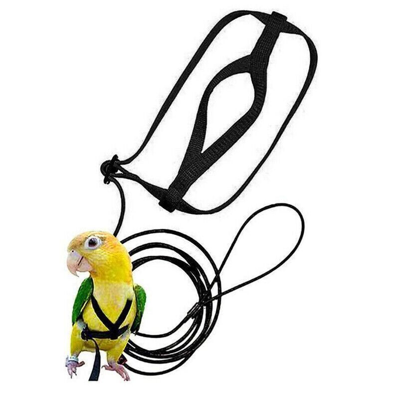 M Pet Parrot Bird Harness Lead Leash Flying Training Rope Cockatiel Outdoor - Blue V528-PETBIRDROPE-BLUE-M-27801