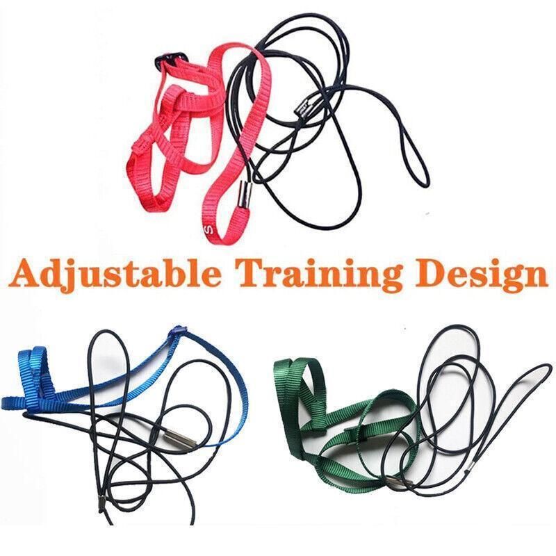 M Pet Parrot Bird Harness Lead Leash Flying Training Rope Cockatiel Outdoor - Blue V528-PETBIRDROPE-BLUE-M-27801