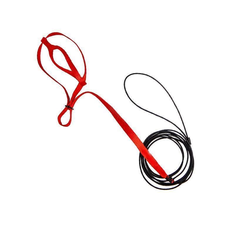 M Pet Parrot Bird Harness Lead Leash Flying Training Rope Cockatiel Outdoor - Red V528-PETBIRDROPE-RED-M-55558