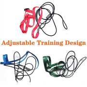 M Pet Parrot Bird Harness Lead Leash Flying Training Rope Cockatiel Outdoor - Red V528-PETBIRDROPE-RED-M-55558