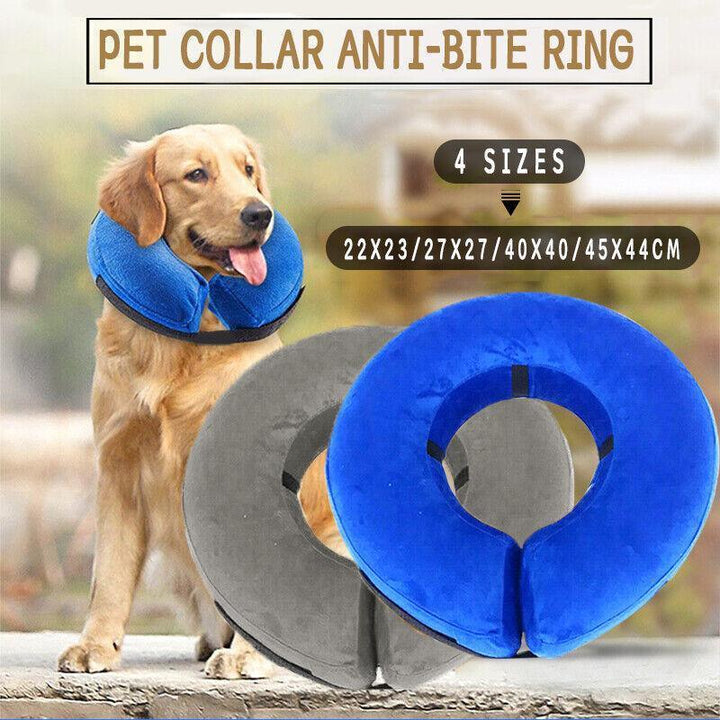 Pet ID Tags