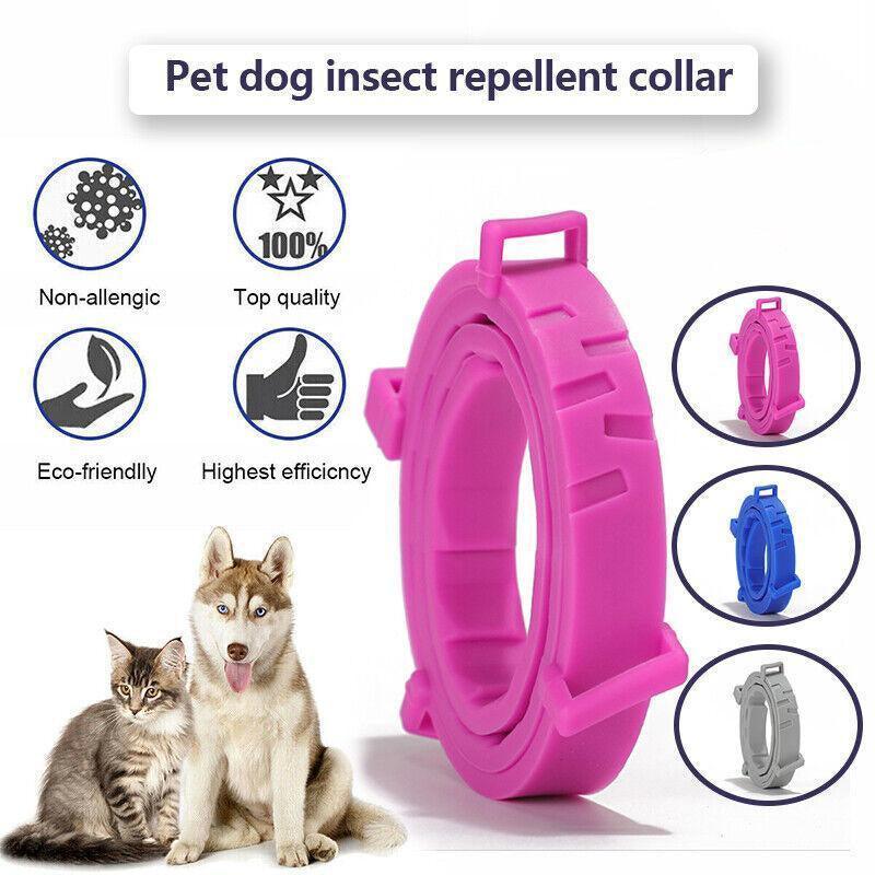 Short Adjustable Pet Anti Flea Tick Neck Collar For Dog Cat Kitten 8 Months Protect - Blue V528-PETCOLLAR-BLUE-SHORT-352014