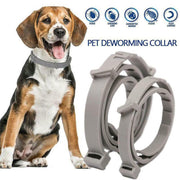 Short Adjustable Pet Anti Flea Tick Neck Collar For Dog Cat Kitten 8 Months Protect - Blue V528-PETCOLLAR-BLUE-SHORT-352014