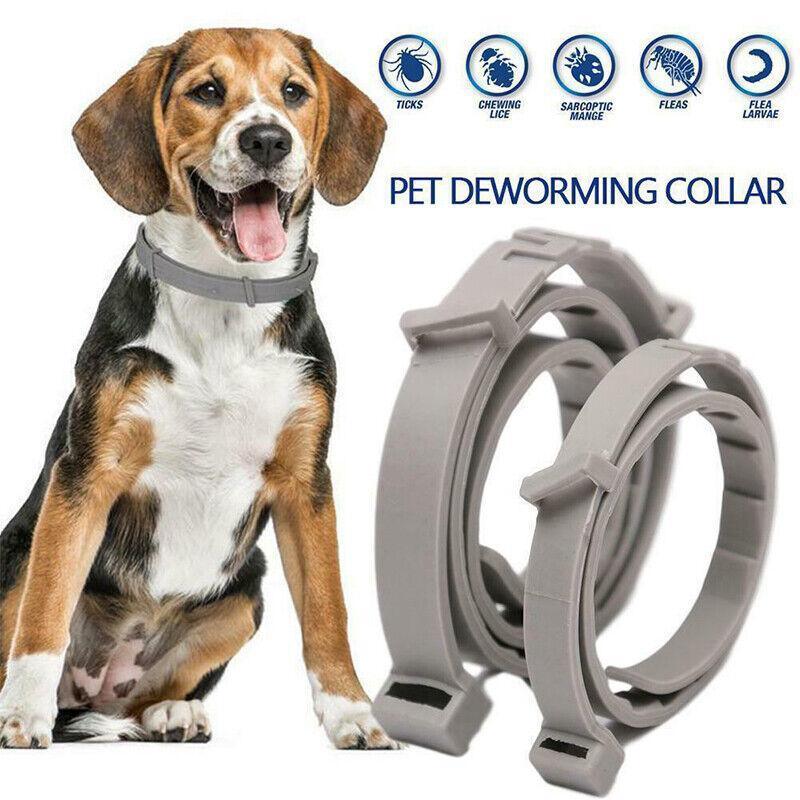 Short Adjustable Pet Anti Flea Tick Neck Collar For Dog Cat Kitten 8 Months Protect - Blue V528-PETCOLLAR-BLUE-SHORT-352014