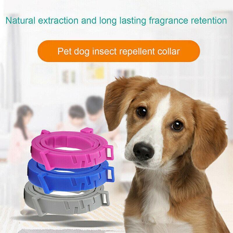 Short Adjustable Pet Anti Flea Tick Neck Collar For Dog Cat Kitten 8 Months Protect - Blue V528-PETCOLLAR-BLUE-SHORT-352014
