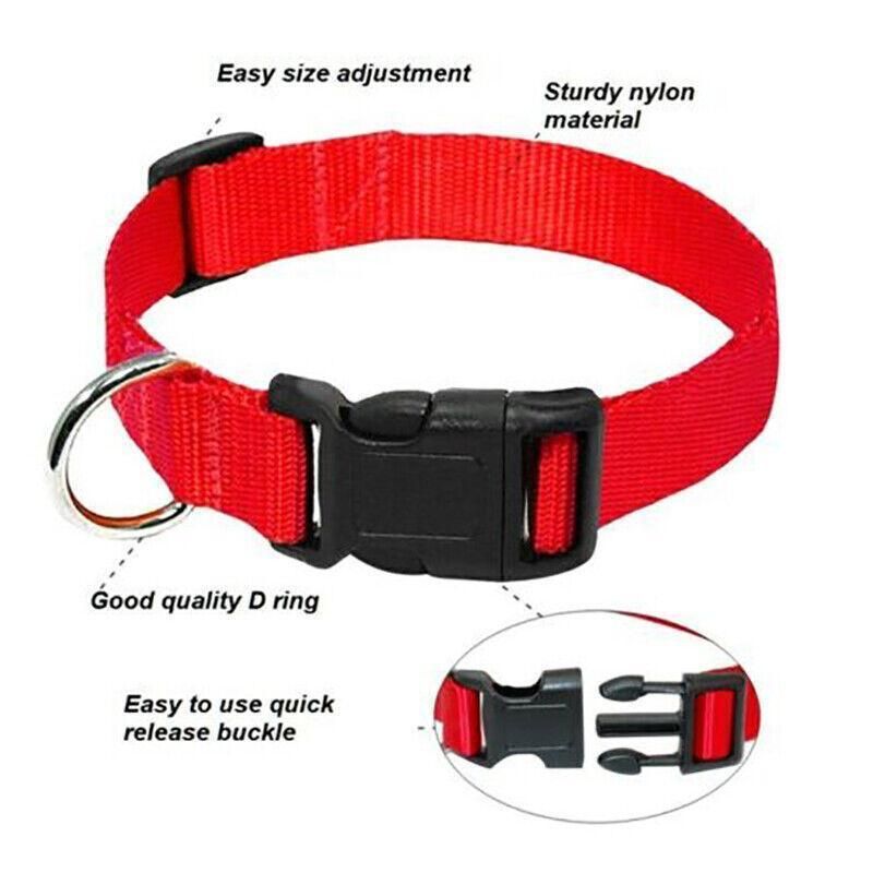 L Size Dog Puppy Pet Collar Adjustable Nylon Toy Large Pink Blue Red Black - Grey V528-PETCOLLAR-GREY-L-325784