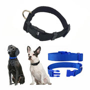 L Size Dog Puppy Pet Collar Adjustable Nylon Toy Large Pink Blue Red Black - Grey V528-PETCOLLAR-GREY-L-325784