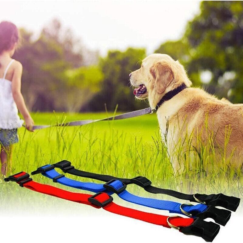L Size Dog Puppy Pet Collar Adjustable Nylon Toy Large Pink Blue Red Black - Grey V528-PETCOLLAR-GREY-L-325784