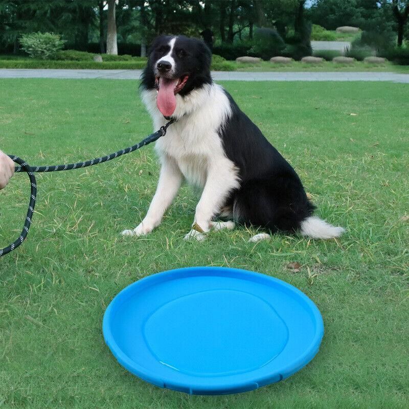 Frisbee Toy for Dogs Outdoor Fetch Training Soft Rubber Pet Flying Disc 18cm - Orange V528-PETFRISBEE-ORANGE-69642