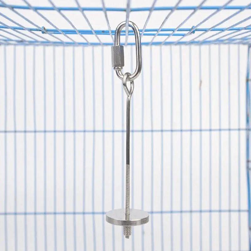 Stainless Steel Bird Parrot Cage Skewer Food Spear Fruit Holder Toy Up To 23Cm - S V528-PETFRUITFORK-10CM-80089