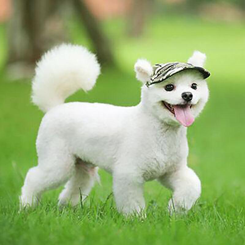 Dog Baseball Cap Outdoor Pet Sun Hat Summer Canvas Visor Puppy S Size - Flower V528-PETHAT-FLOWER-S-40007