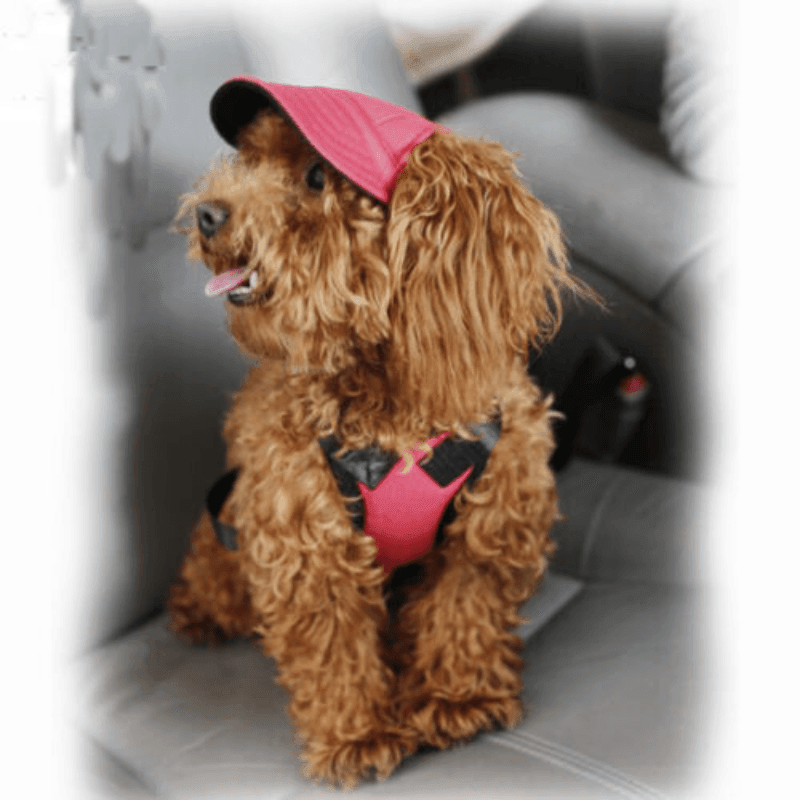 Dog Baseball Cap Outdoor Pet Sun Hat Summer Canvas Visor Puppy S Size - Red V528-PETHAT-RED-S-22652