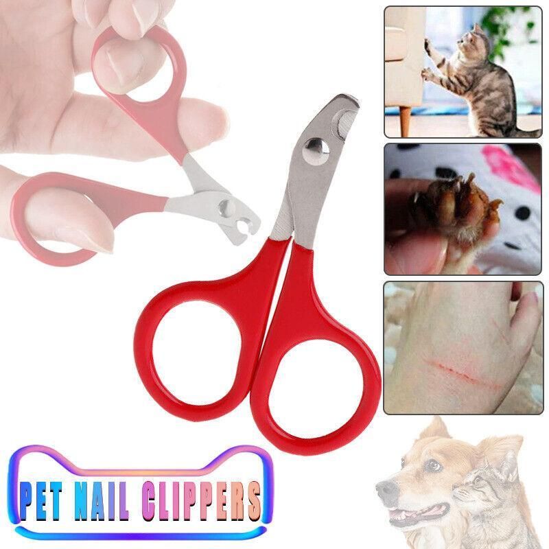 Pet Nail Claw Grooming Scissors Clippers For Dog Cat Bird Rabbit Ferret V528-PETMINISCISSORS-513025