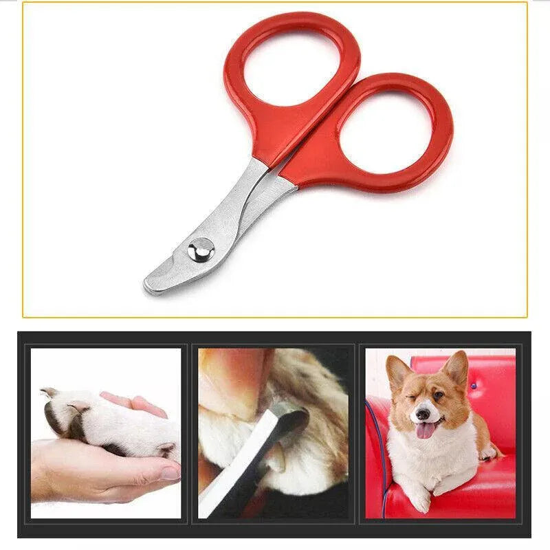 Pet Nail Claw Grooming Scissors Clippers For Dog Cat Bird Rabbit Ferret V528-PETMINISCISSORS-513025