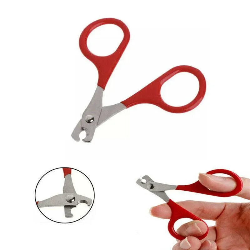 Pet Nail Claw Grooming Scissors Clippers For Dog Cat Bird Rabbit Ferret V528-PETMINISCISSORS-513025