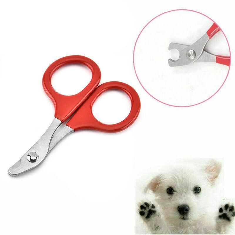 Pet Nail Claw Grooming Scissors Clippers For Dog Cat Bird Rabbit Ferret V528-PETMINISCISSORS-513025