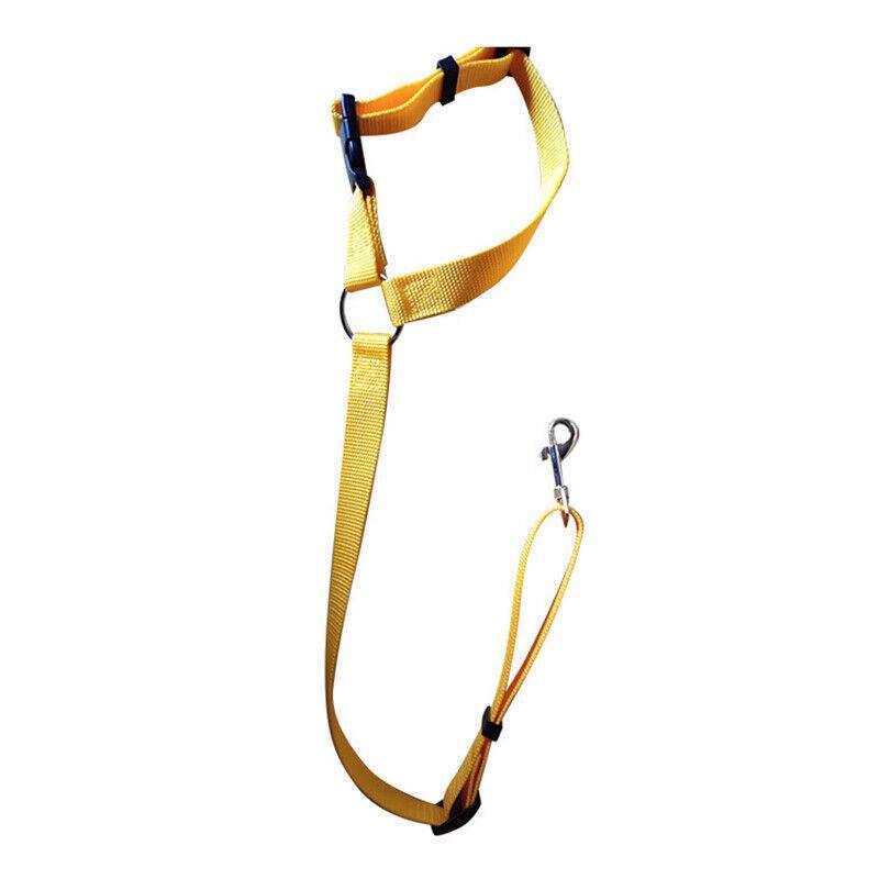 Adjustable Pet Dog Car Clip Lead Harness Strap for Vehicle Travel Restraint Use - Blue V528-PETSAFETYSEAT-BLUE-11318