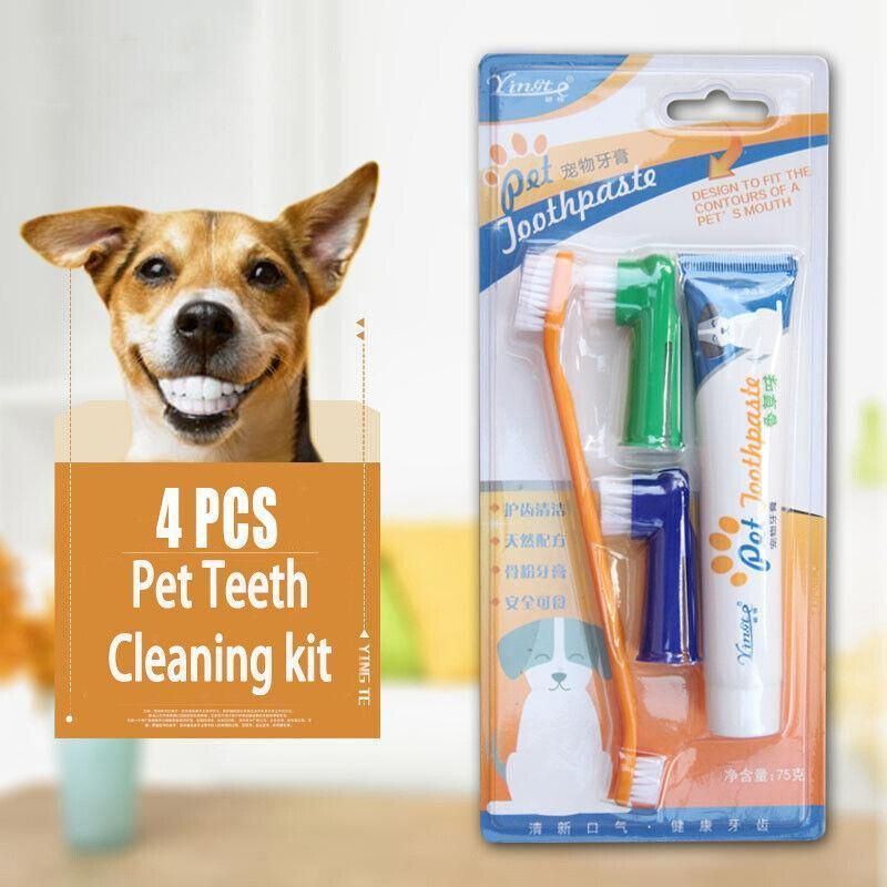 Pet Dog Teeth Cleaning Toothpaste with Toothbrush and Backup Brush Vanilla Flavoured V528-PETTOOTHPASTE-BLUE-72209