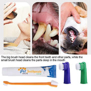Pet Dog Teeth Cleaning Toothpaste with Toothbrush and Backup Brush Vanilla Flavoured V528-PETTOOTHPASTE-BLUE-72209