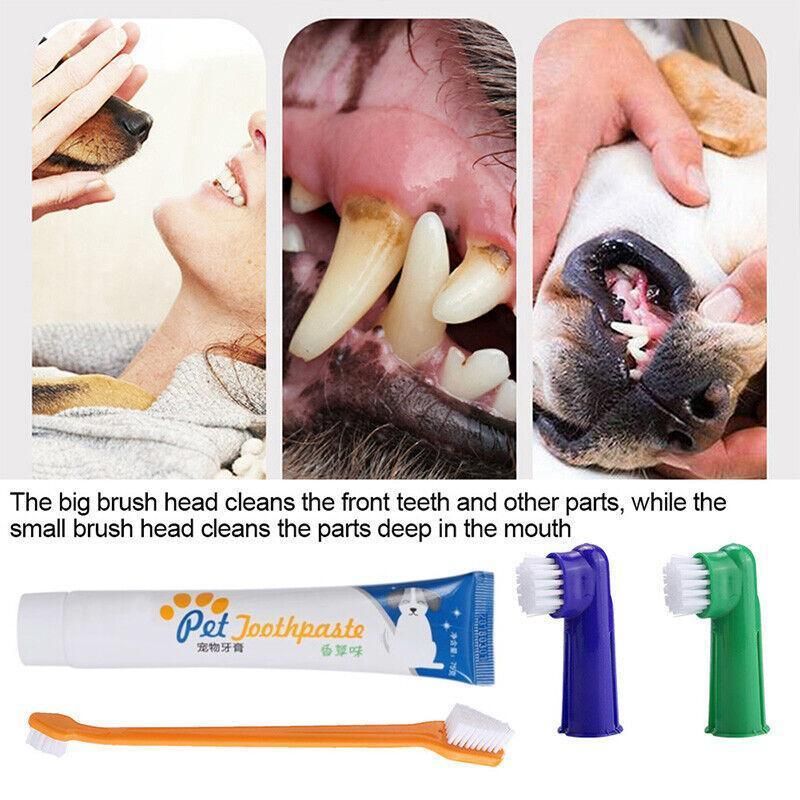 Pet Dog Teeth Cleaning Toothpaste with Toothbrush and Backup Brush Vanilla Flavoured V528-PETTOOTHPASTE-BLUE-72209