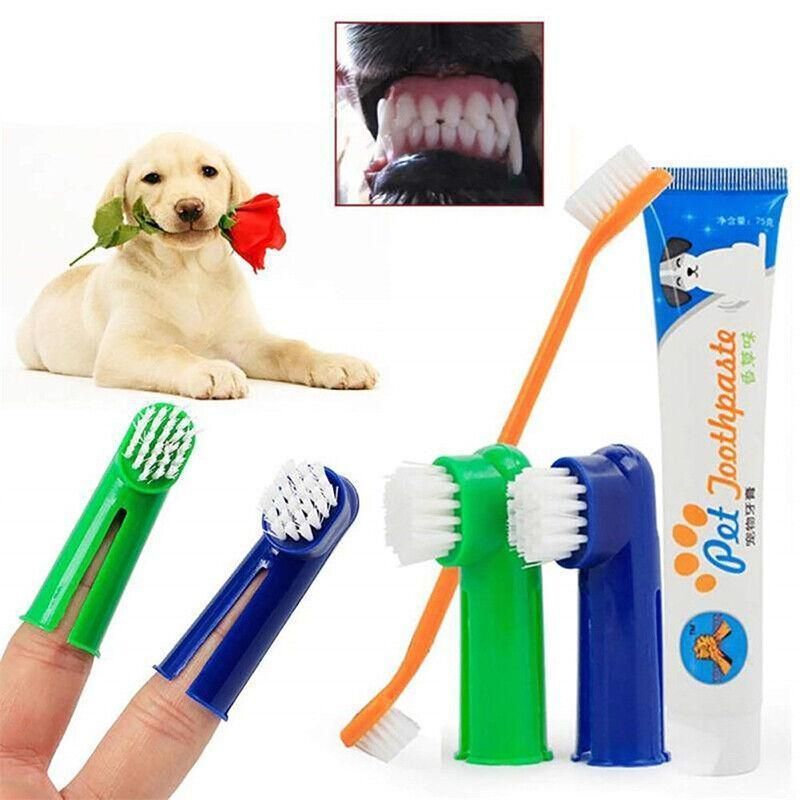 Pet Dog Teeth Cleaning Toothpaste with Toothbrush and Backup Brush Vanilla Flavoured V528-PETTOOTHPASTE-BLUE-72209