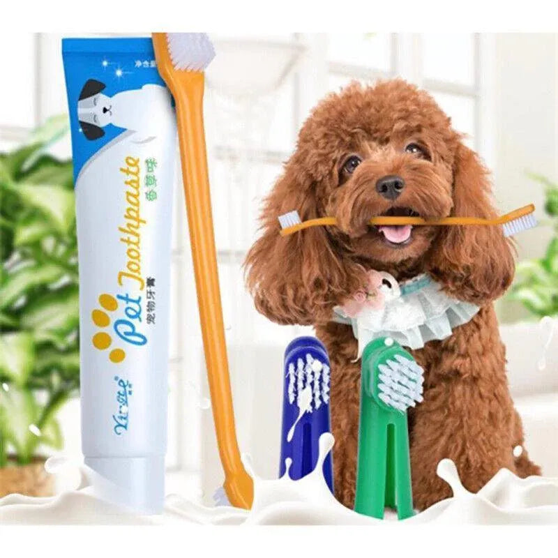 Pet Dog Teeth Cleaning Toothpaste with Toothbrush and Backup Brush Vanilla Flavoured V528-PETTOOTHPASTE-BLUE-72209