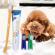 Pet Dog Teeth Cleaning Toothpaste with Toothbrush and Backup Brush Vanilla Flavoured V528-PETTOOTHPASTE-BLUE-72209