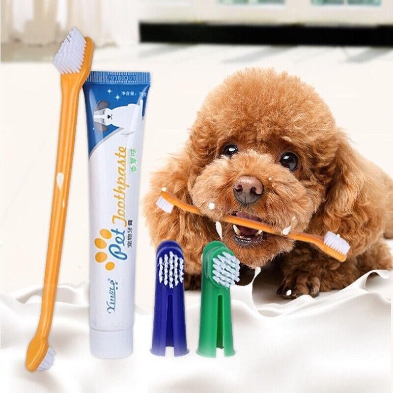 Pet Dog Teeth Cleaning Toothpaste with Toothbrush and Backup Brush Vanilla Flavoured V528-PETTOOTHPASTE-BLUE-72209