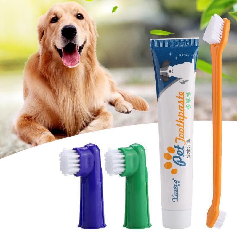Pet Dog Teeth Cleaning Toothpaste with Toothbrush and Backup Brush Vanilla Flavoured V528-PETTOOTHPASTE-BLUE-72209